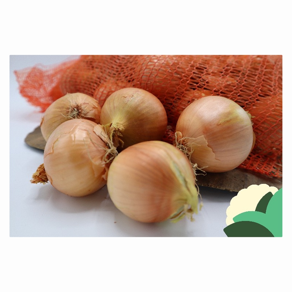 Ajuin Vers Zak 5 kg