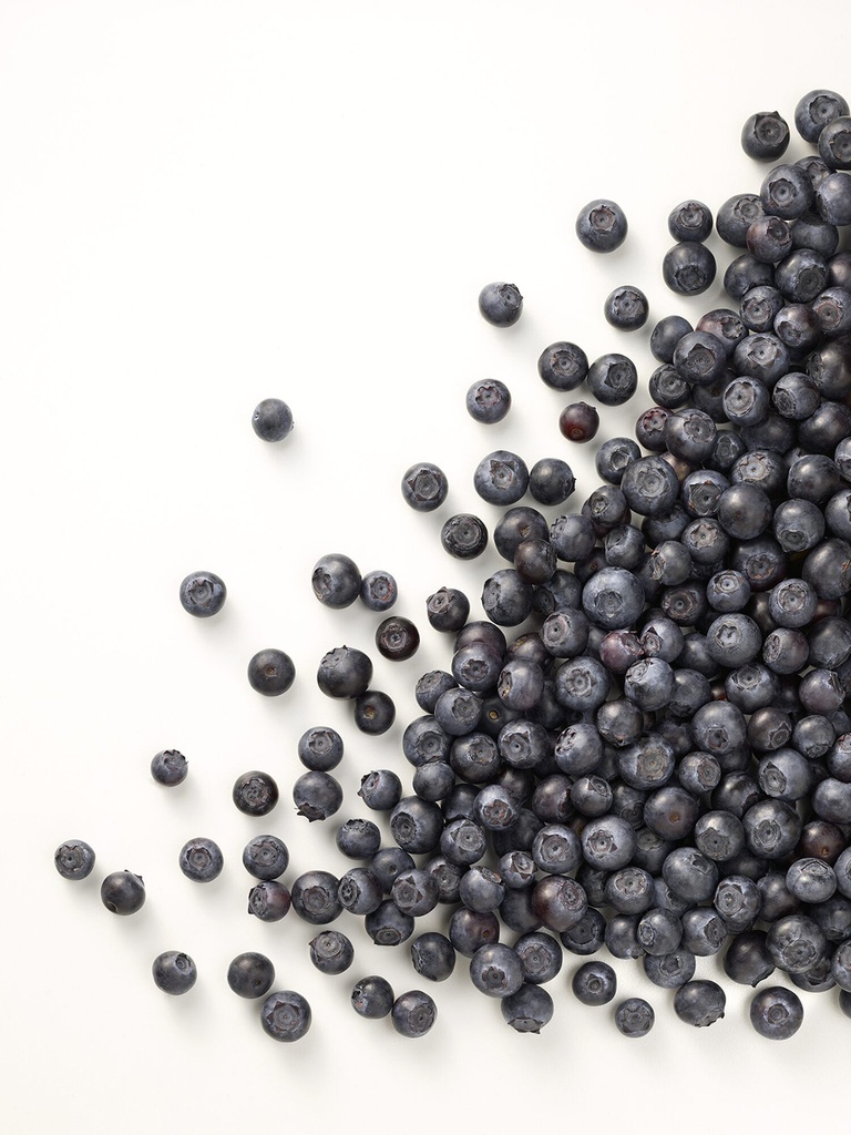 Blauwe Bessen Ardo 1 KG