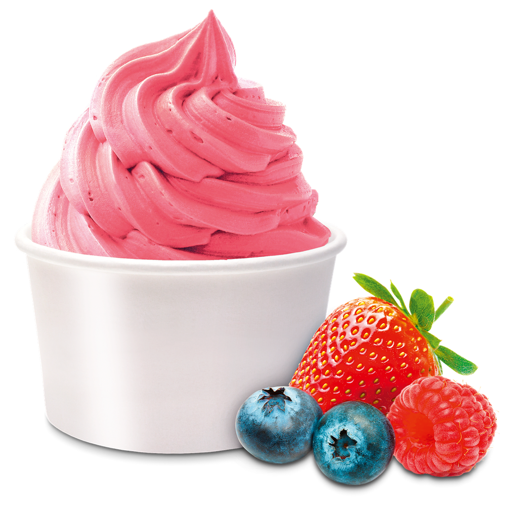 Forest Fruit Frozen Yogurt One Shot 18 x 160 ml