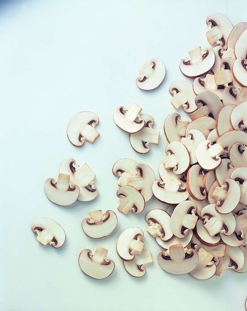 Champignons Gesneden Hotel Ardo 2,5 kg