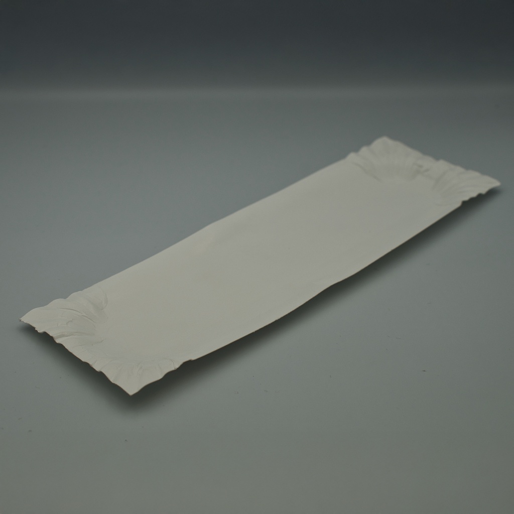 Karton Schaal CT 10 Frik.schaal A16 (6 x20cm) 250st