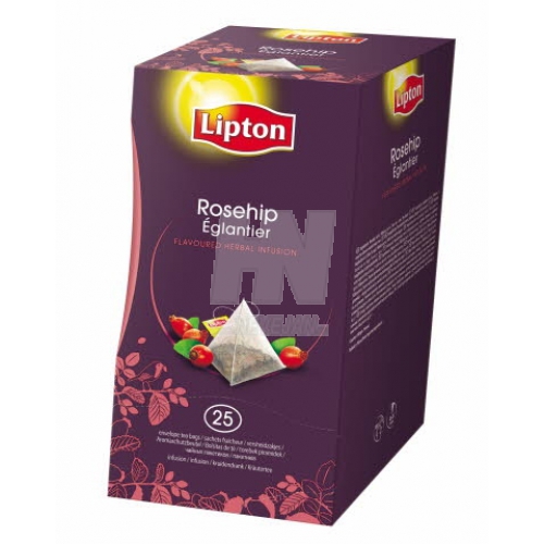 [73298] Lipton Thee Bosvruchten Pyramids Excl. Sel. 25 st
