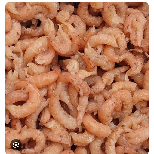 [14650] Garnalen Noordzee gekookt/gepeld 1 kg