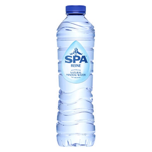 [714021] Spa Reine Blue Pet 24 x 50 cl