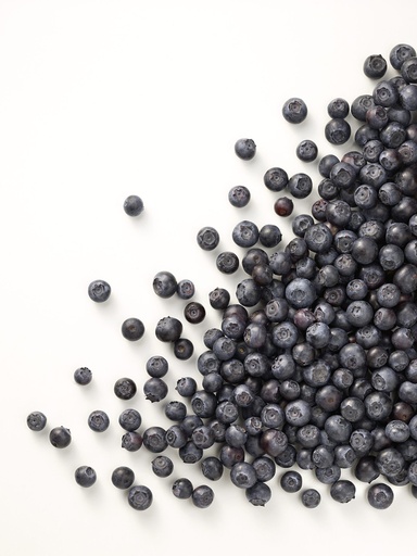 [160856] Blauwe Bessen Ardo 1 KG