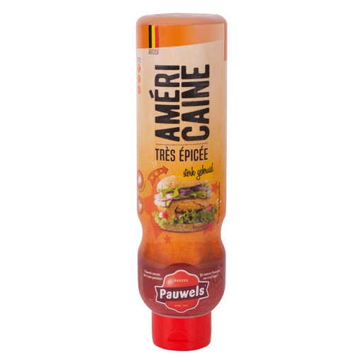 [254885] Americain Saus Pauwels Tube 1 L