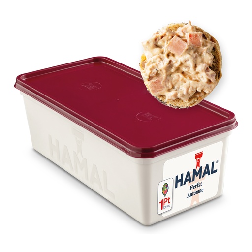 [19019] Herfstsalade Hamal Bak 1 kg