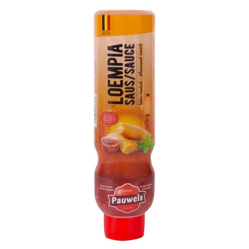 [26173] Loempia Saus Pauwels Tube 1 L