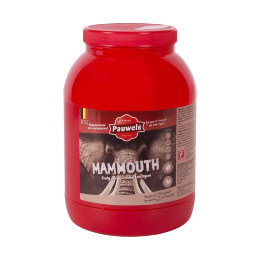 [26007] Mammouth Saus Pauwels Pet 3 L